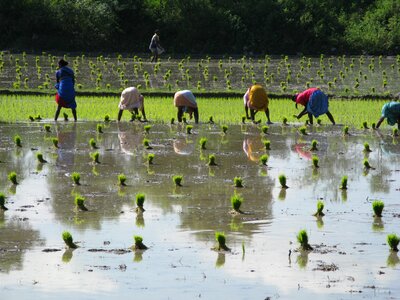 South india waters reflection