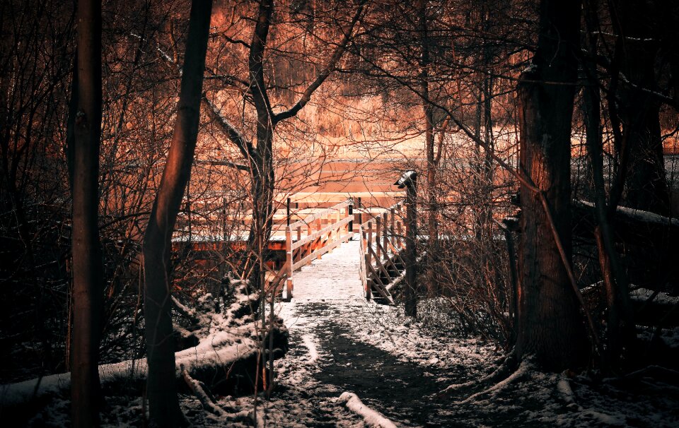 Nature mystery shadow