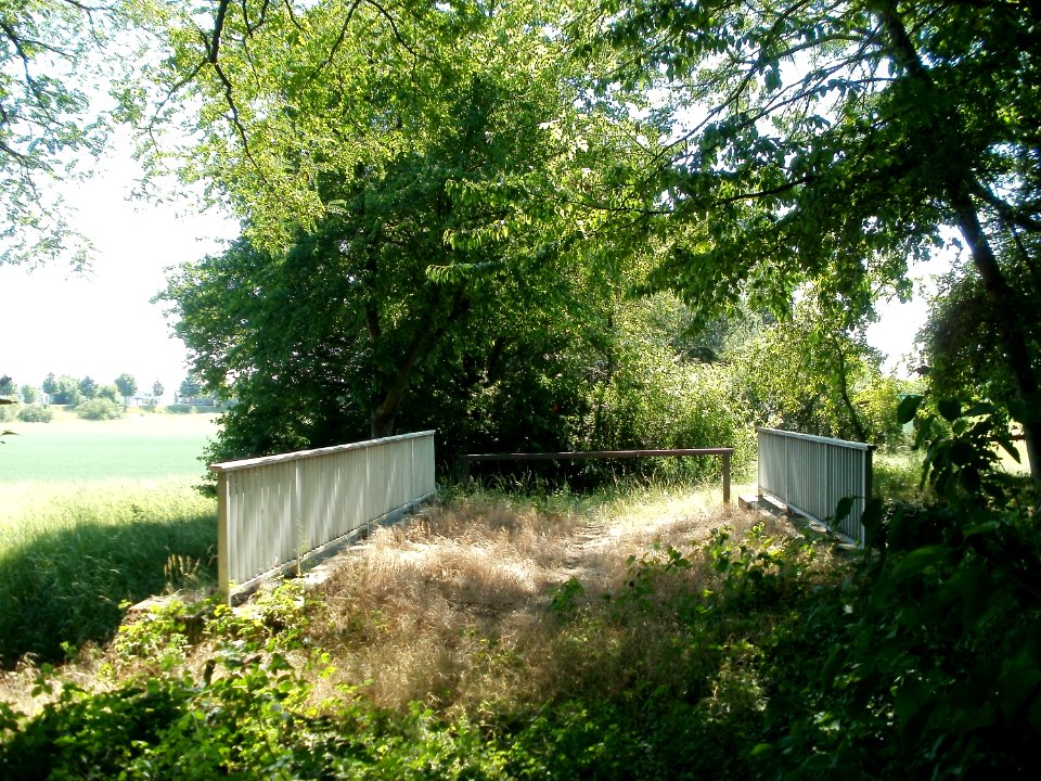 20110525Hartbachbruecke Takhaus3