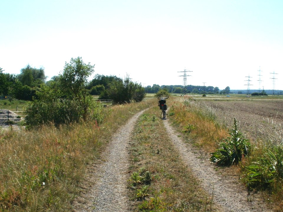 20110525Naturschutzgebiet Bahndamm Talhaus6