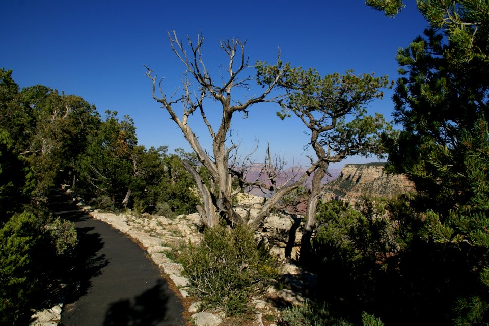 2012.09.14.161355 Rim Trail Grand Canyon Arizona