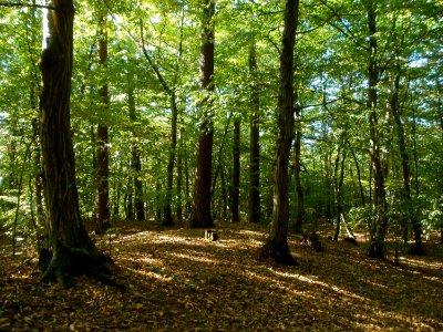 20111004Wagbachkastell4