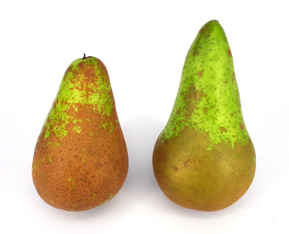 2 x Conference pear 2017 D