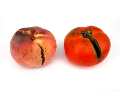 2 x Cracked fruit - Nectarine - Tomato - 2017