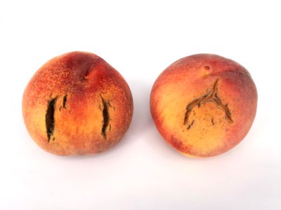 2 x Cracked nectarine 2017