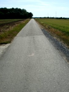 20110529Schlossachse Schwetzingen2