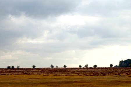 20161013 Oud Reemsterzand2