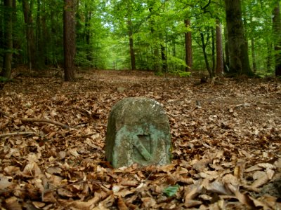 20110731Reilinger Eck17