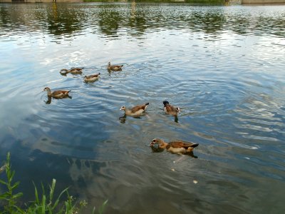 20110709Schengen06