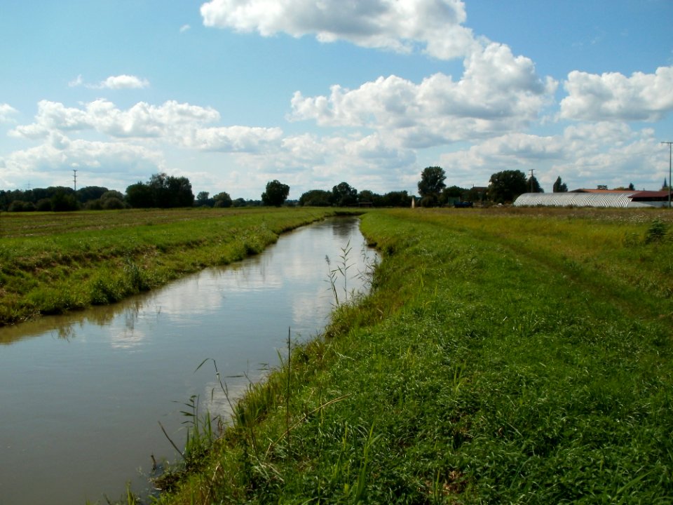 20110815Kraichbach Reilingen2