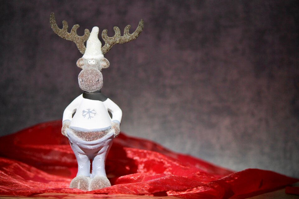 Animal funny christmas
