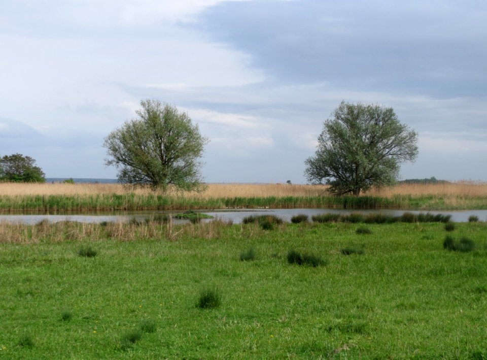 20160514Der Spiess - An der Spiessbruecke1
