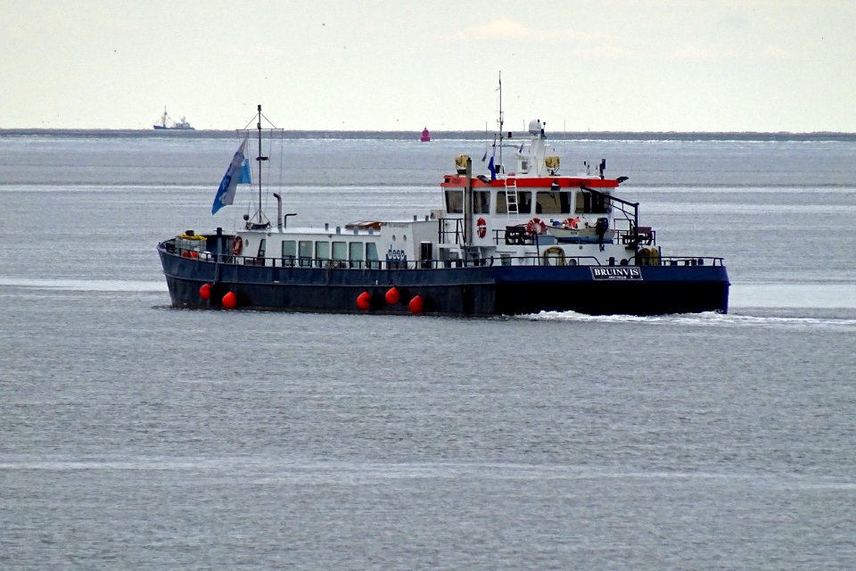 20160920 Bruinvis Waddenzee