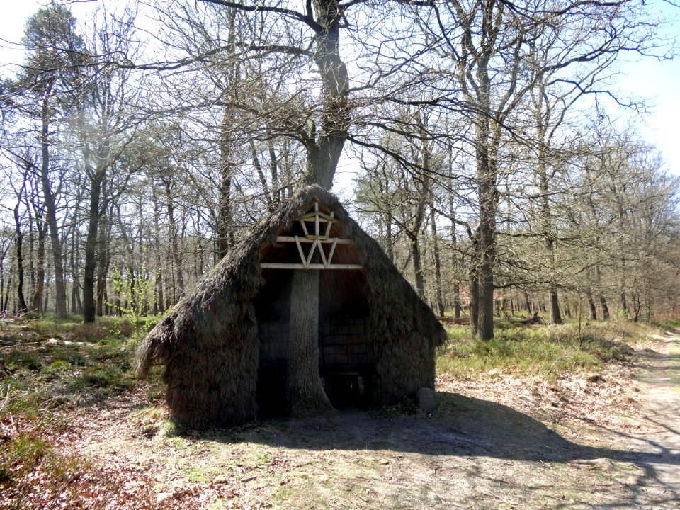 20160421 Schuilhut1 Wieselsche Bos