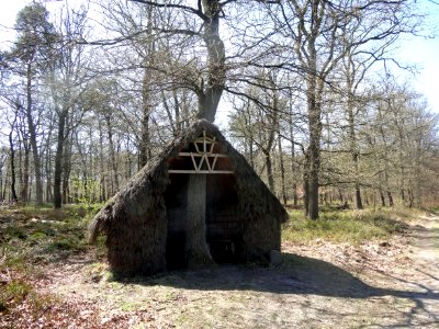 20160421 Schuilhut1 Wieselsche Bos