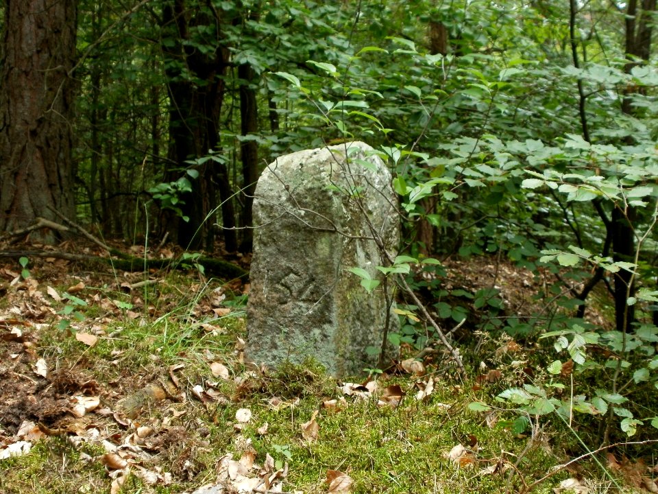 20110731Reilinger Eck07