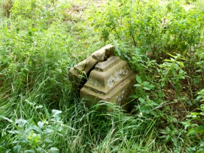 20110706Almet06