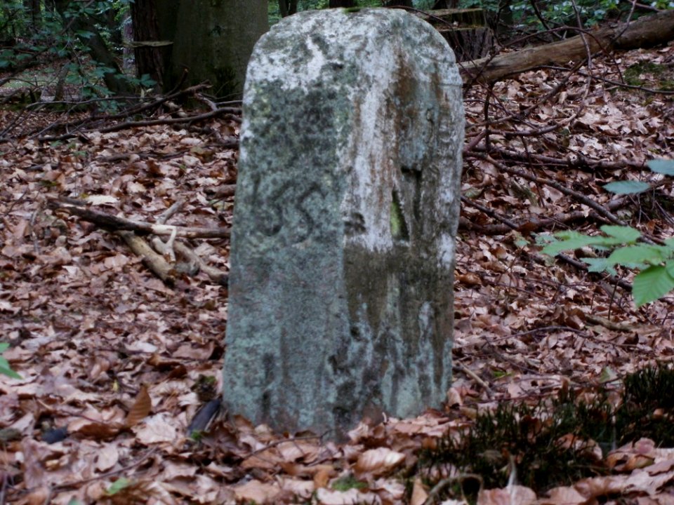 20110731Reilinger Eck06