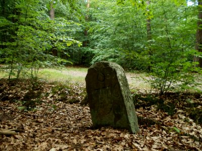 20110731Reilinger Eck05