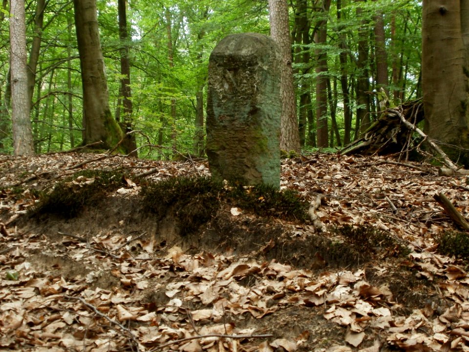 20110731Reilinger Eck04