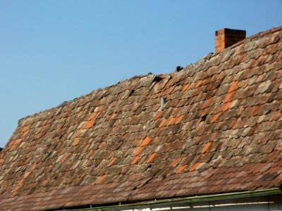 20111004Wagbachstr71 Wiesental2