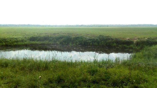 20160729 125829 Bogolyubovo, Russia photo