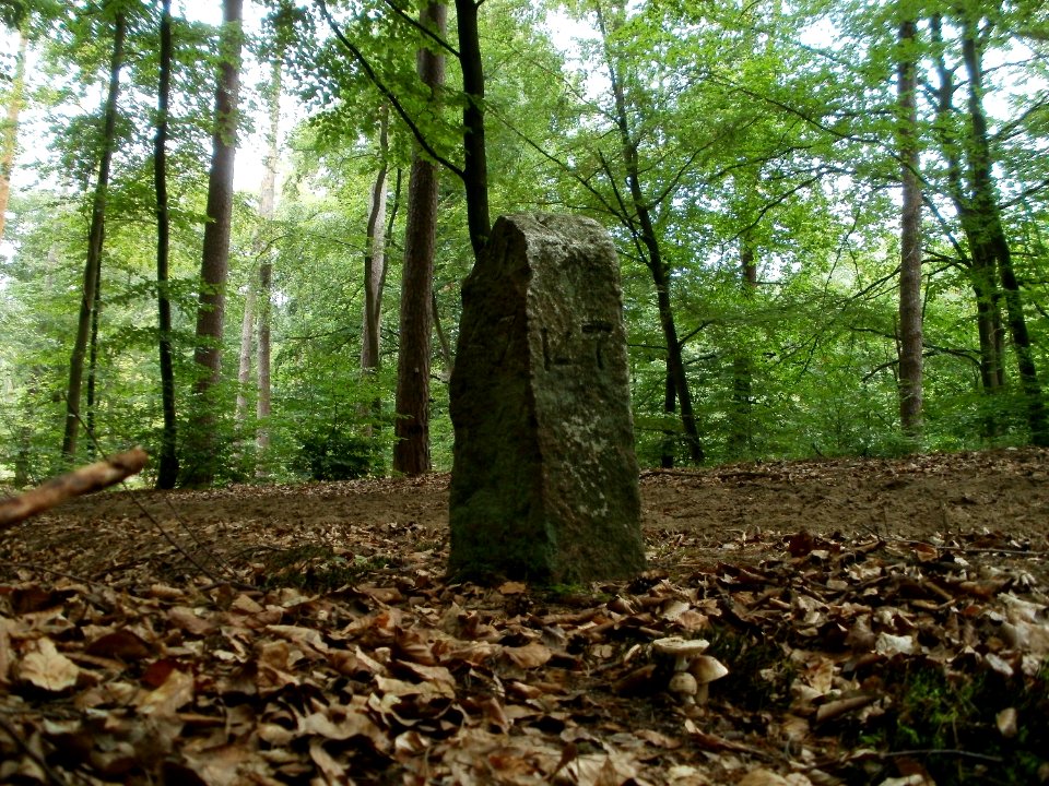 20110731Reilinger Eck25