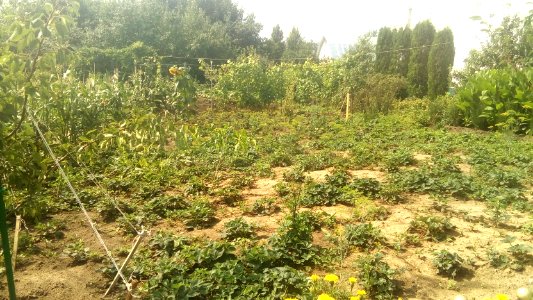 20160729 120344 Monastery of Our Lady of Bogolyubovo