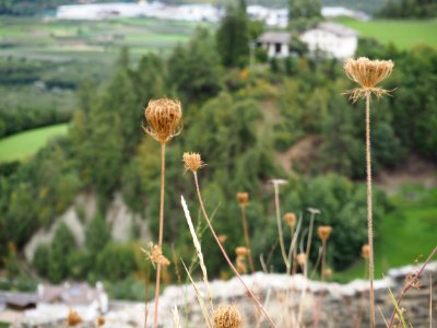 2016 Burgruine Lichtenberg (Prad am Stilfserjoch) (16)