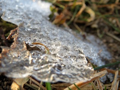 20170128Hockenheim2