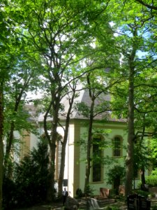 20170520Jugenheim05