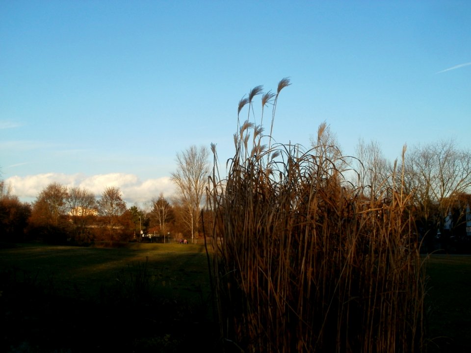 20111210Hockenheim06