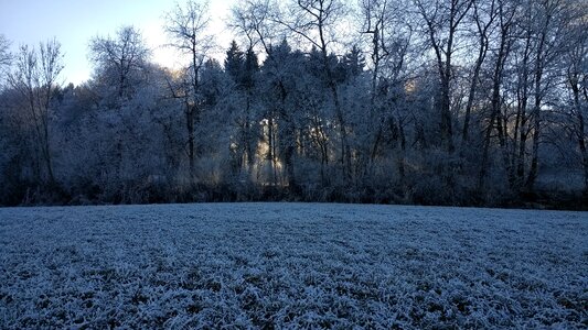 Winter landscape sun