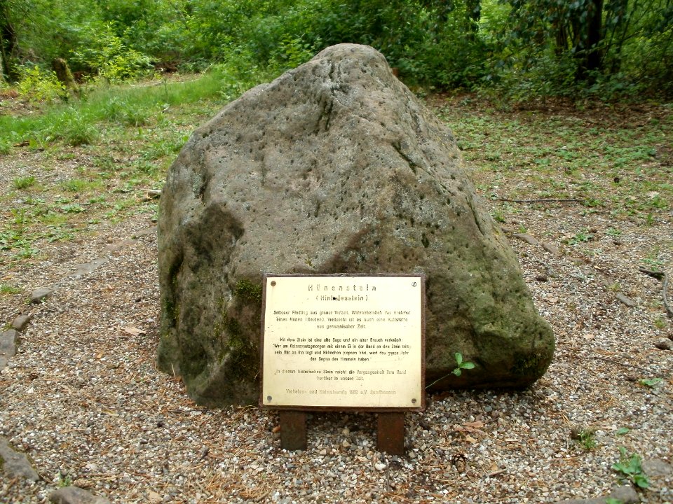 20110630Huenenstein Sandhausen1