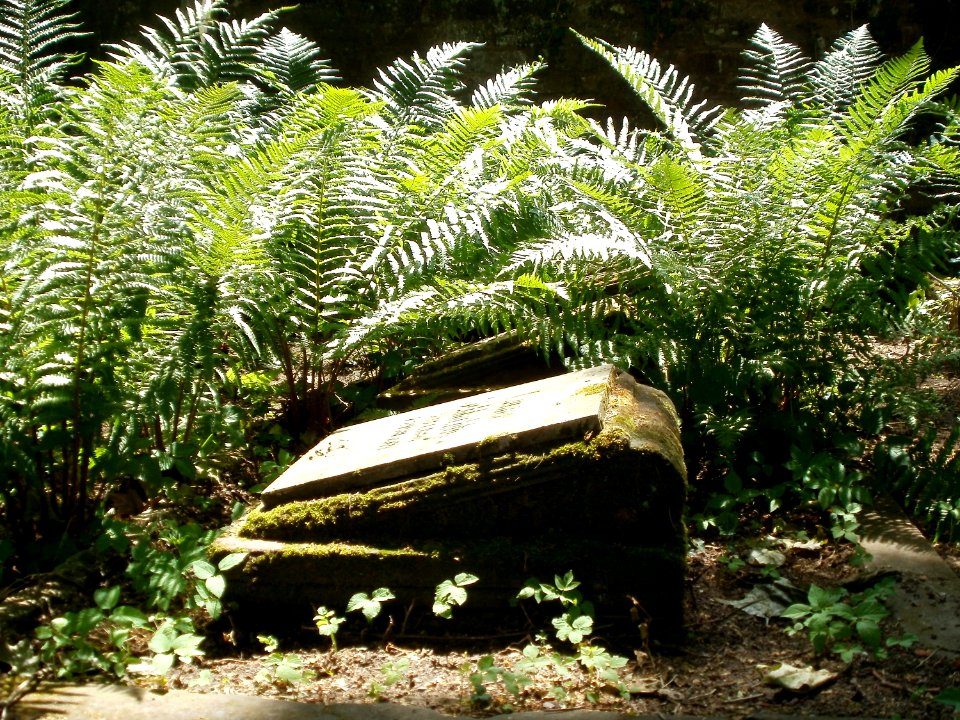20110605Alter Friedhof Alt-Saarbruecken4