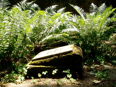 20110605Alter Friedhof Alt-Saarbruecken4