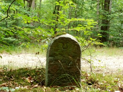 20110731Reilinger Eck08