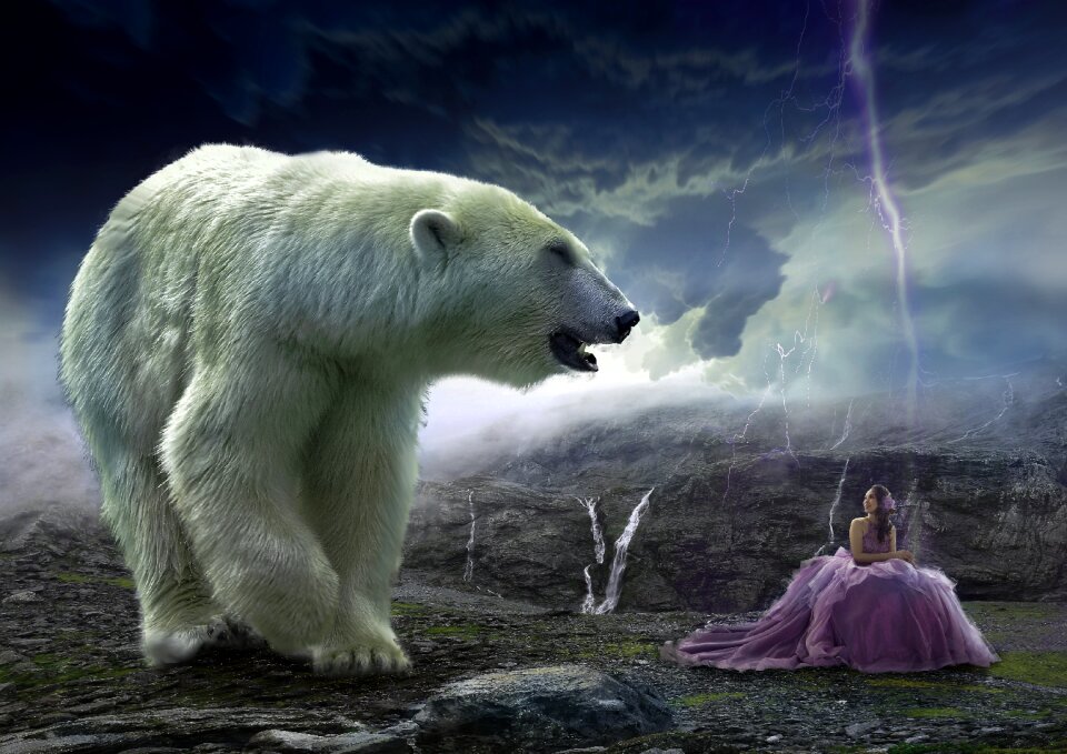 Wild world animal polar bear
