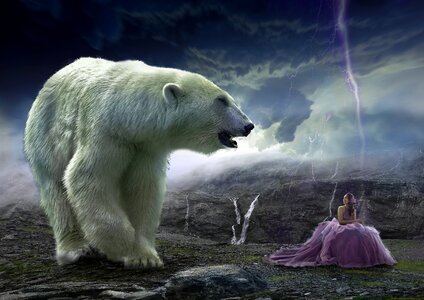 Wild world animal polar bear