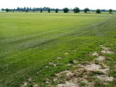 20110627Rasenfeld Reilingen1