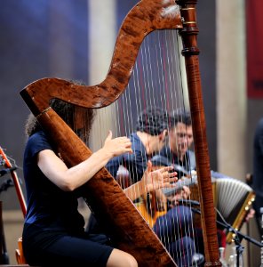 2016 Heimatsound Festival Herbert Pixner Projekt (28)