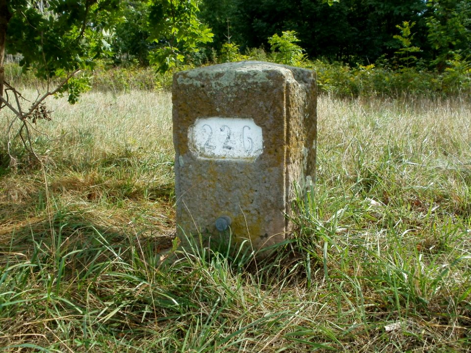 20110828Rheinkilometer396 Altlussheim2