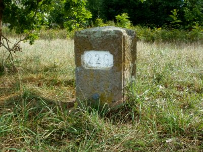 20110828Rheinkilometer396 Altlussheim2