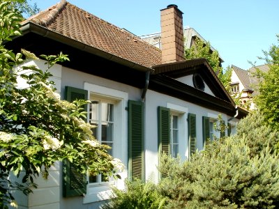 20110520Puccinistr2a St Arnual3