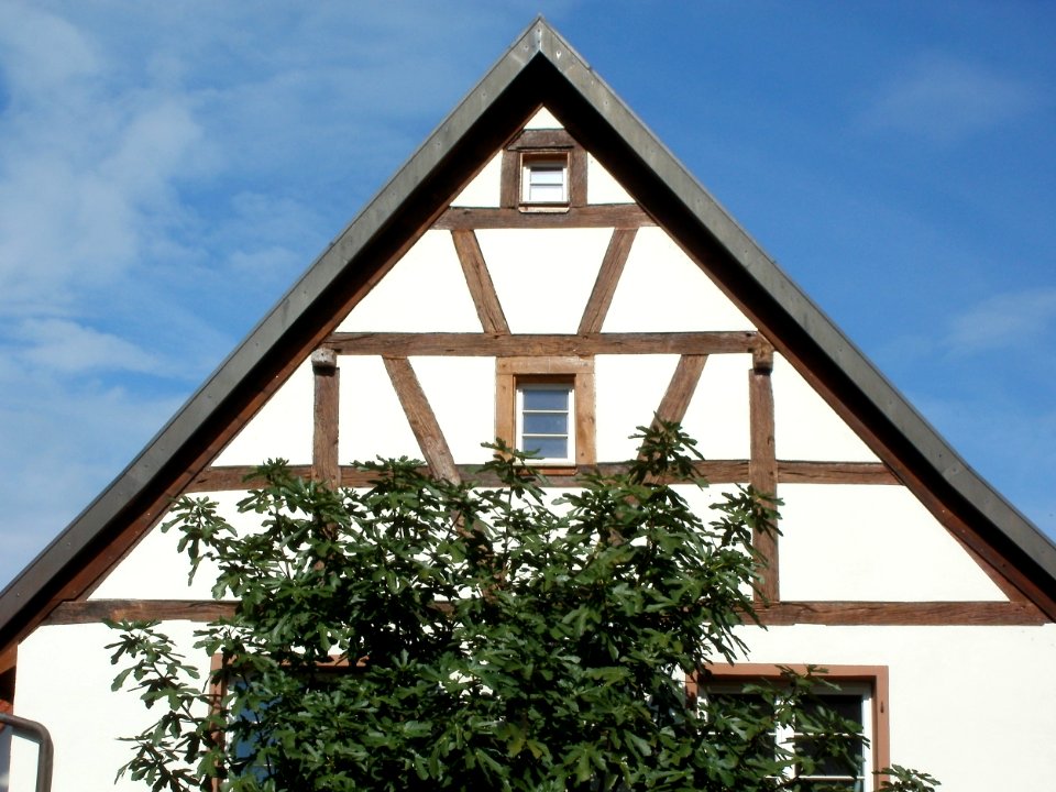 20110828Rheinhaeuser Str44 Altlussheim4