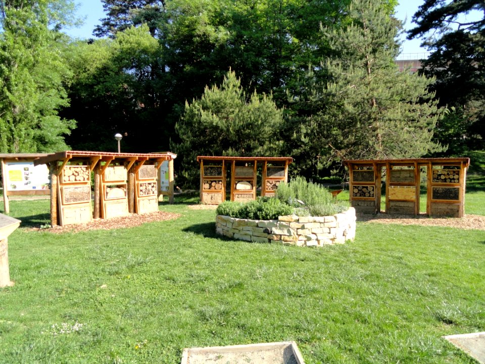 Insect hotel - Parc de la Tête d'Or - DSC05220