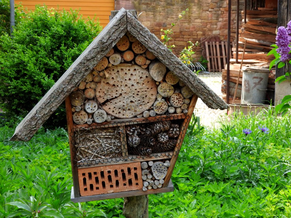 Insect hotel Hauteroda