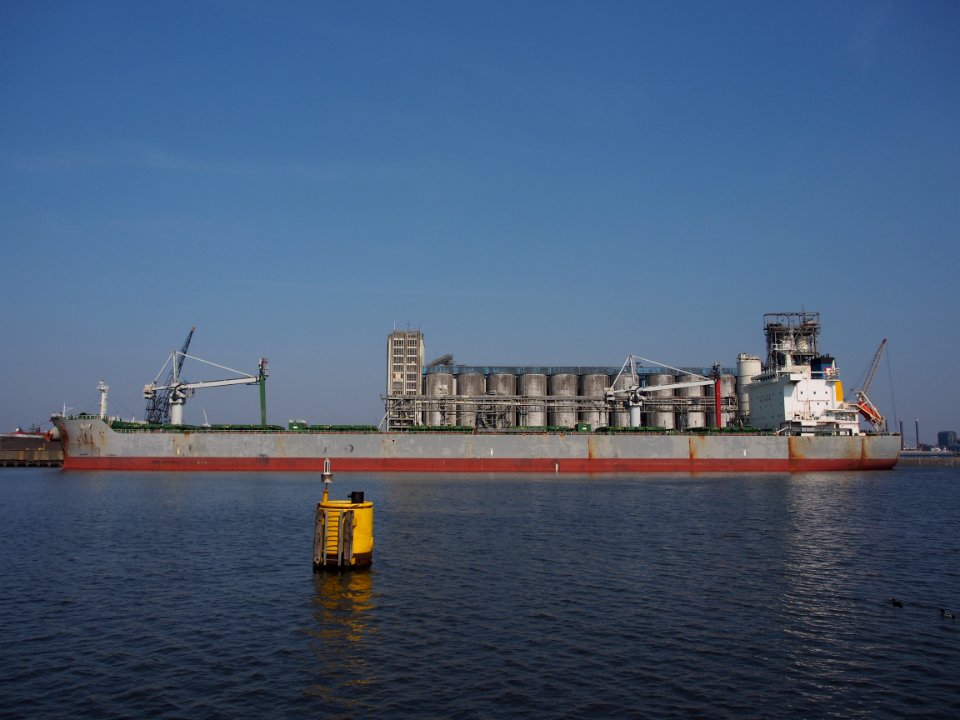 Ilia (ship, 2011) IMO 9577460 in the Vlothaven pic1