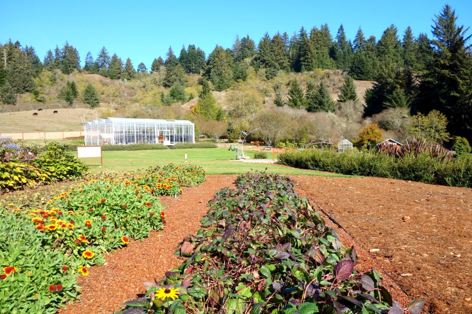 Humboldt Botanical Garden - Eureka, California - DSC02574