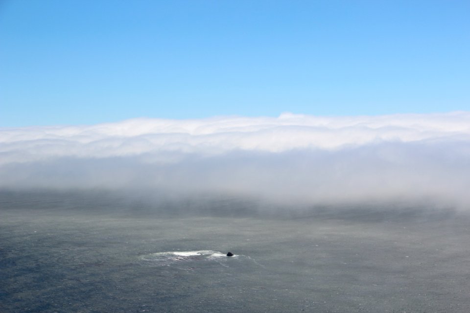 Hurricane Point view Big Sur, Aug 2019 2